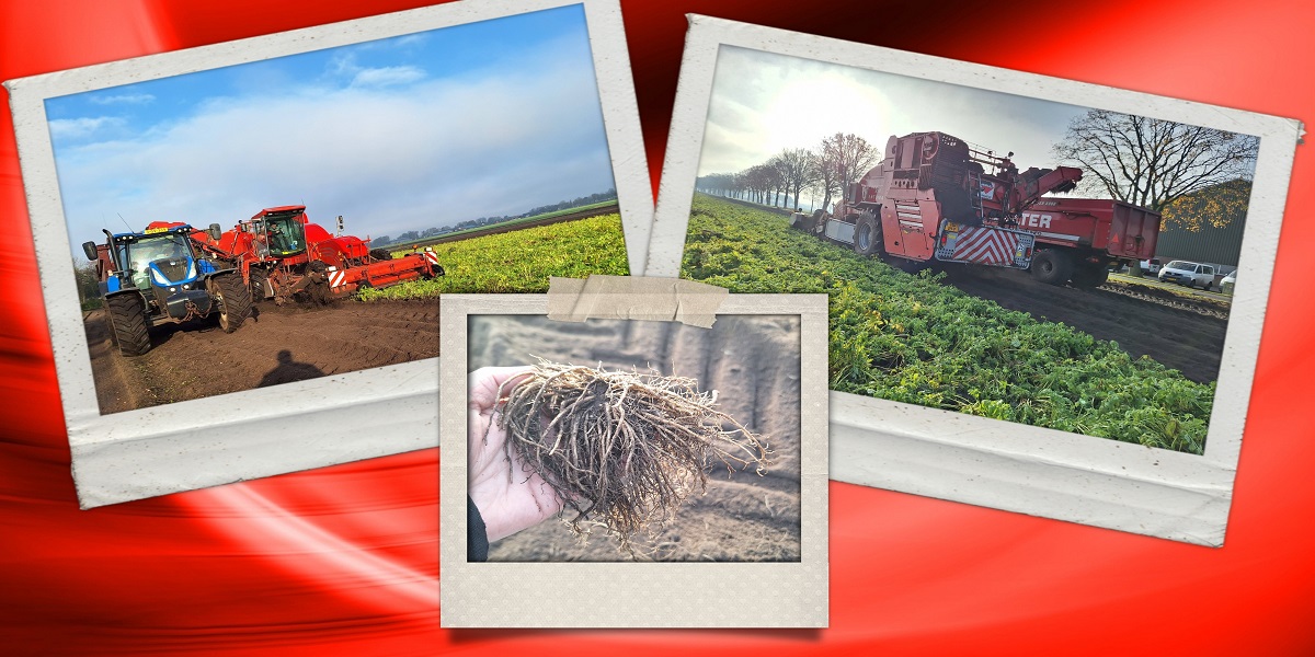 30-11-2025 Helemaal 'zen'...:)