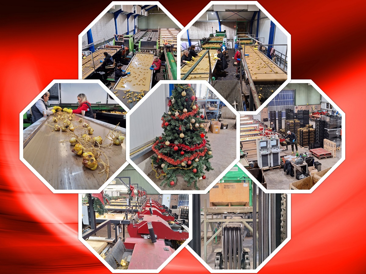 31-12-2025 de laatste dag van het jaar