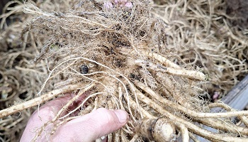 26-1-2026   En weer doorrr