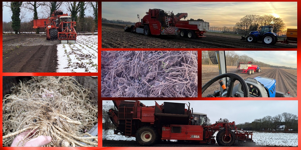 26-1-2026   En weer doorrr