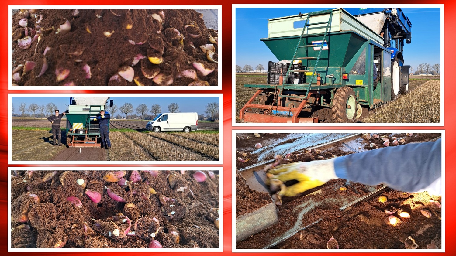 4-3-2026 Spring is in the air...